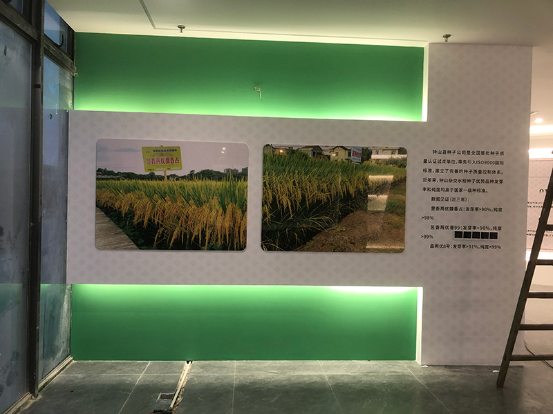 eed1e40a-2375-4d82-b6fb-a1cf0ba65734.jpg